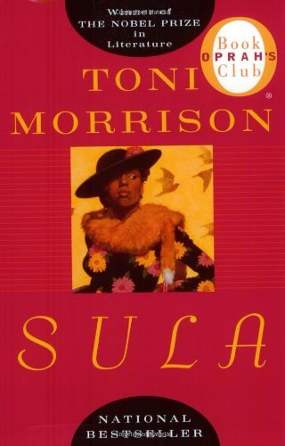 Novel cover image