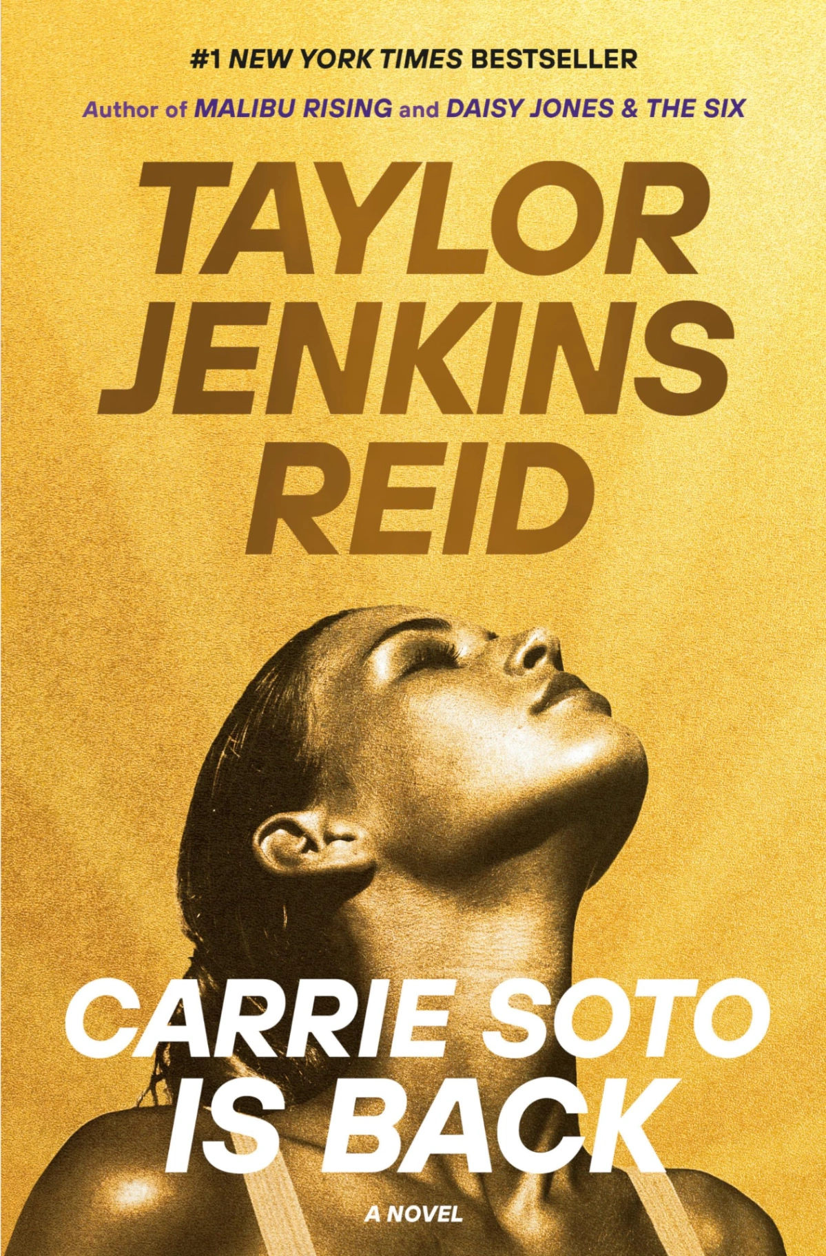 Novel cover image