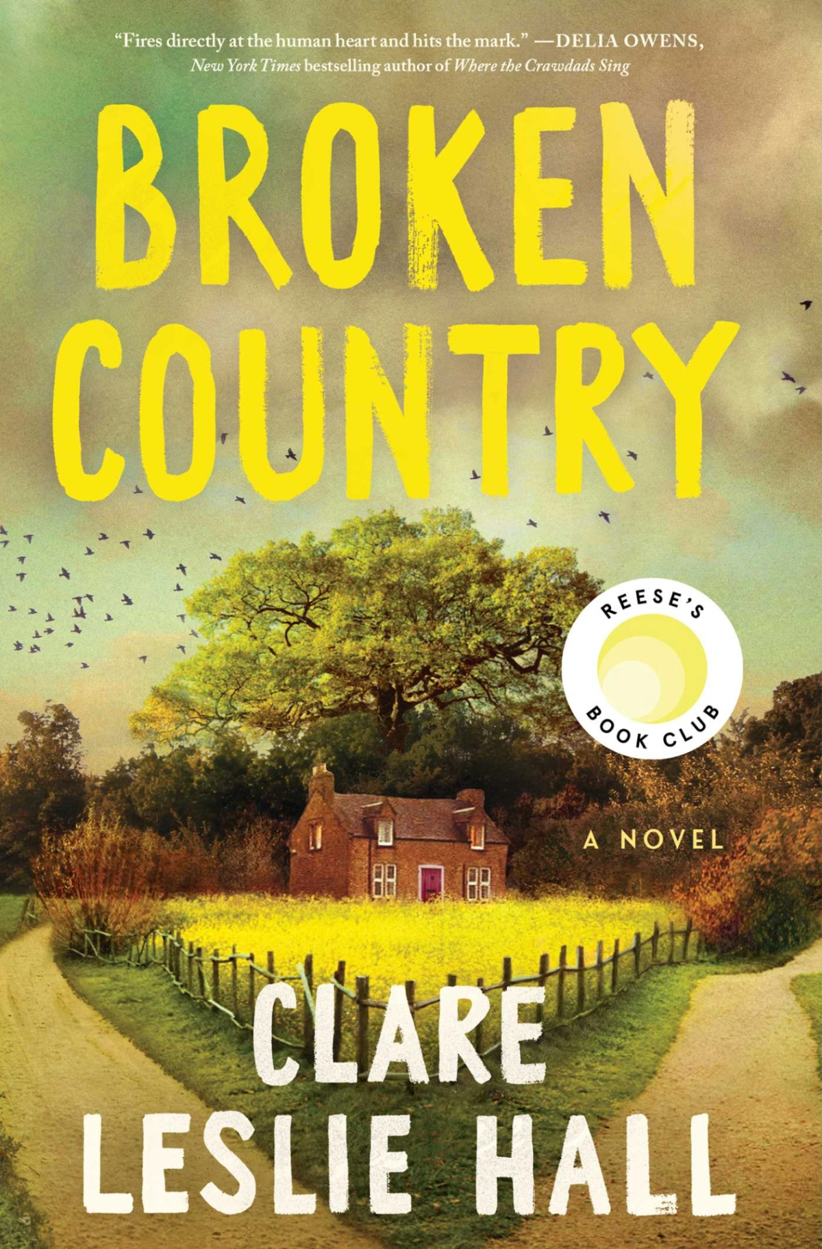 Novel cover image