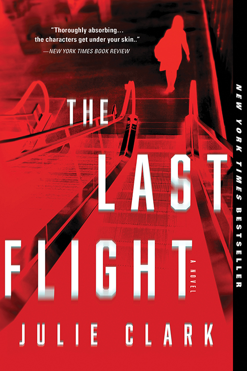 Novel cover image