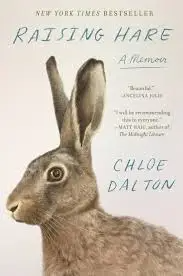Novel cover image