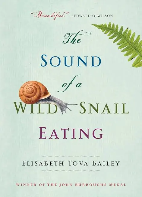Novel cover image