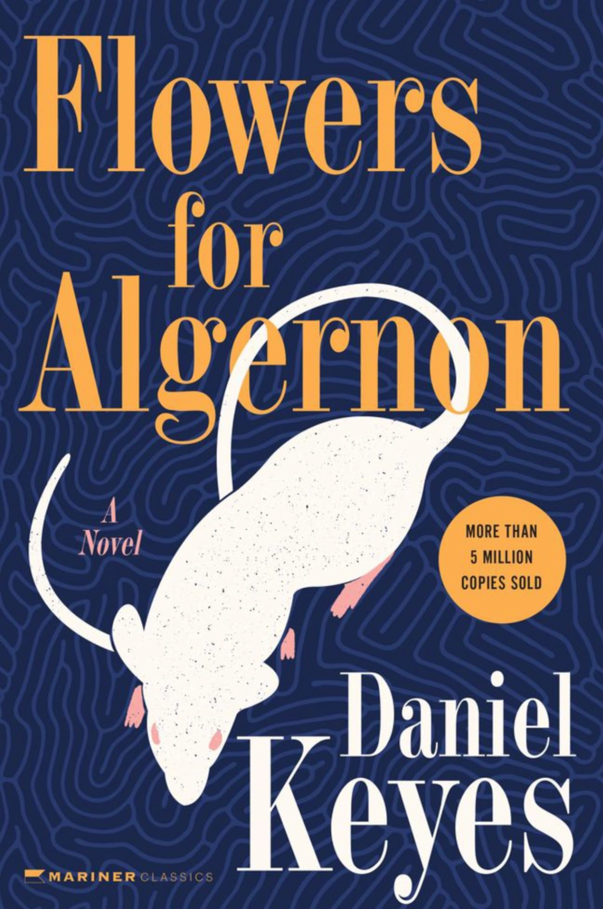 Novel cover image