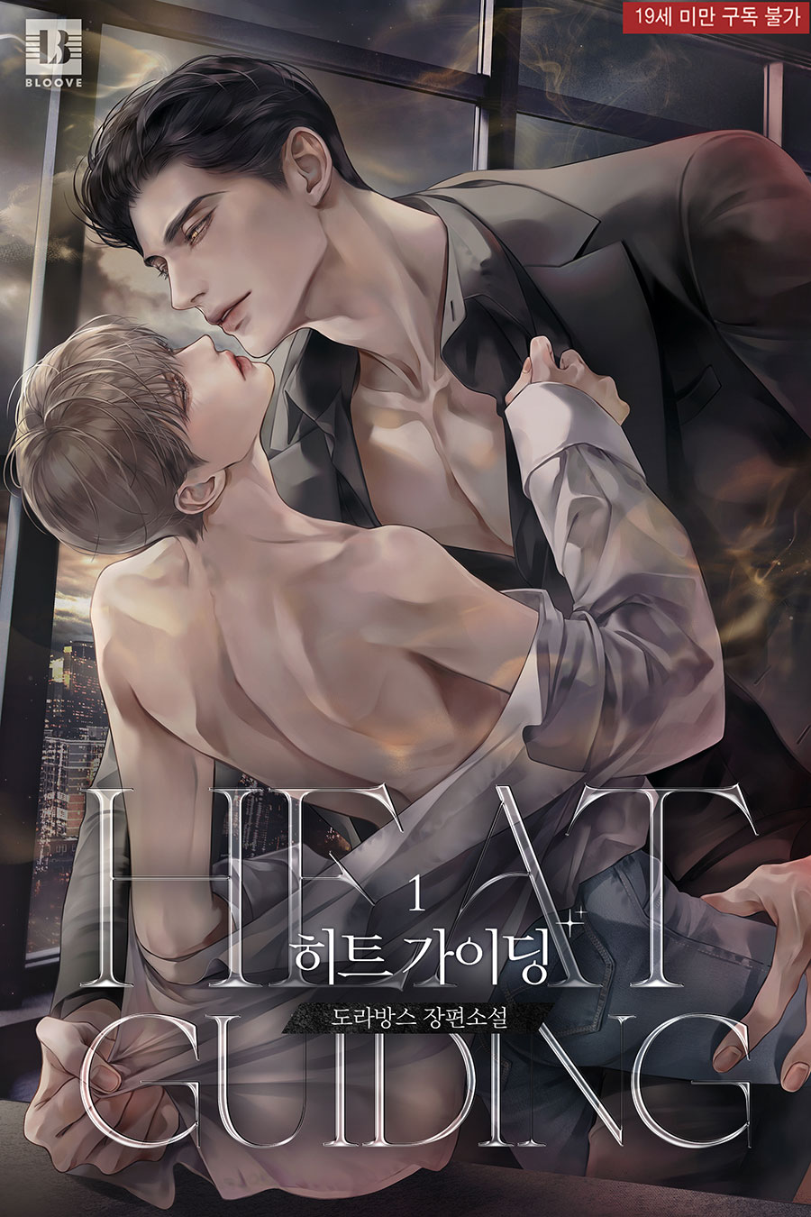 Novel cover image