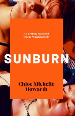 Novel cover image