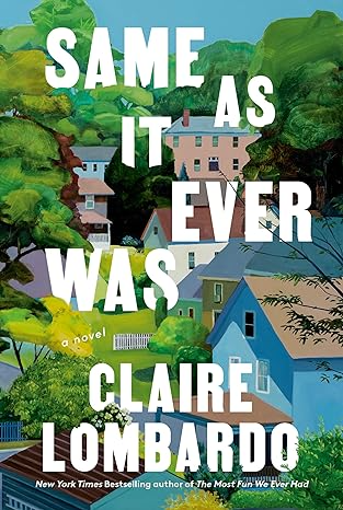 Novel cover image