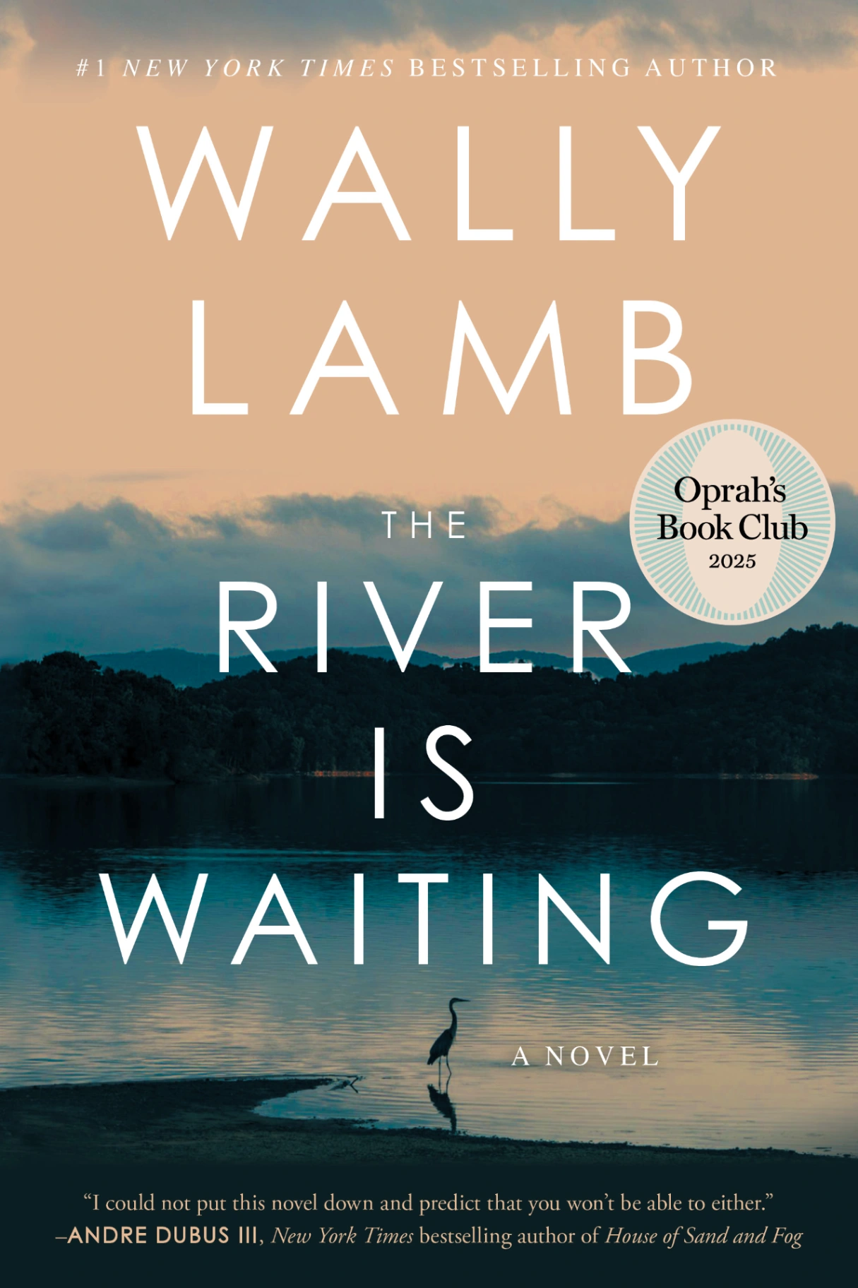 Novel cover image
