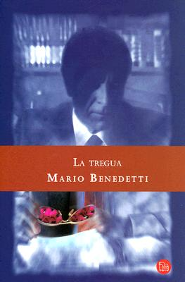 Novel cover image