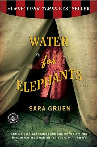 Novel cover image