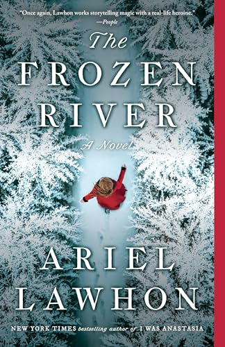 Novel cover image