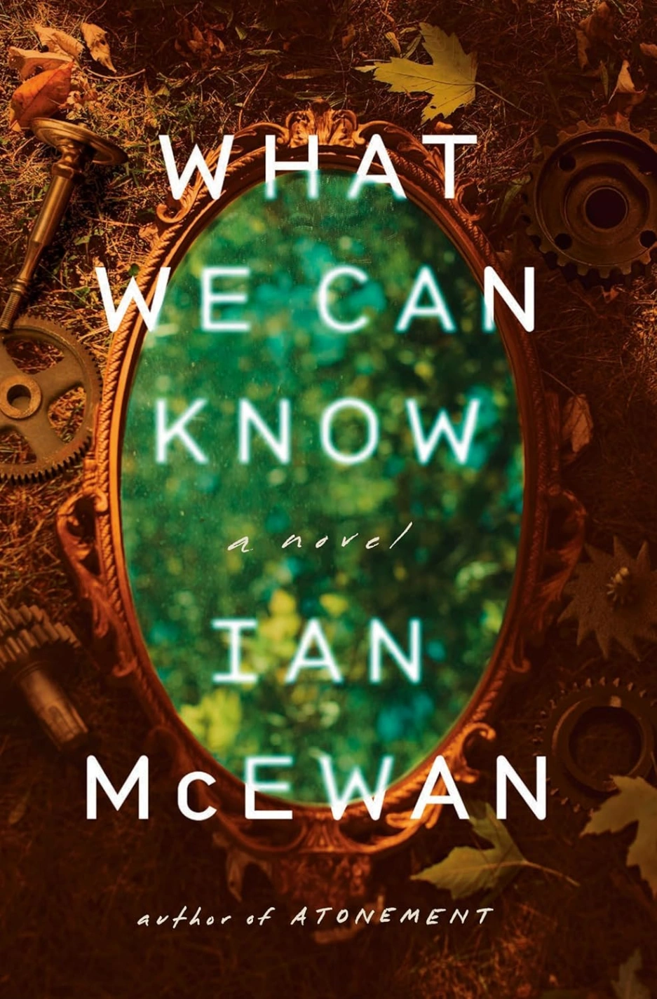 Novel cover image