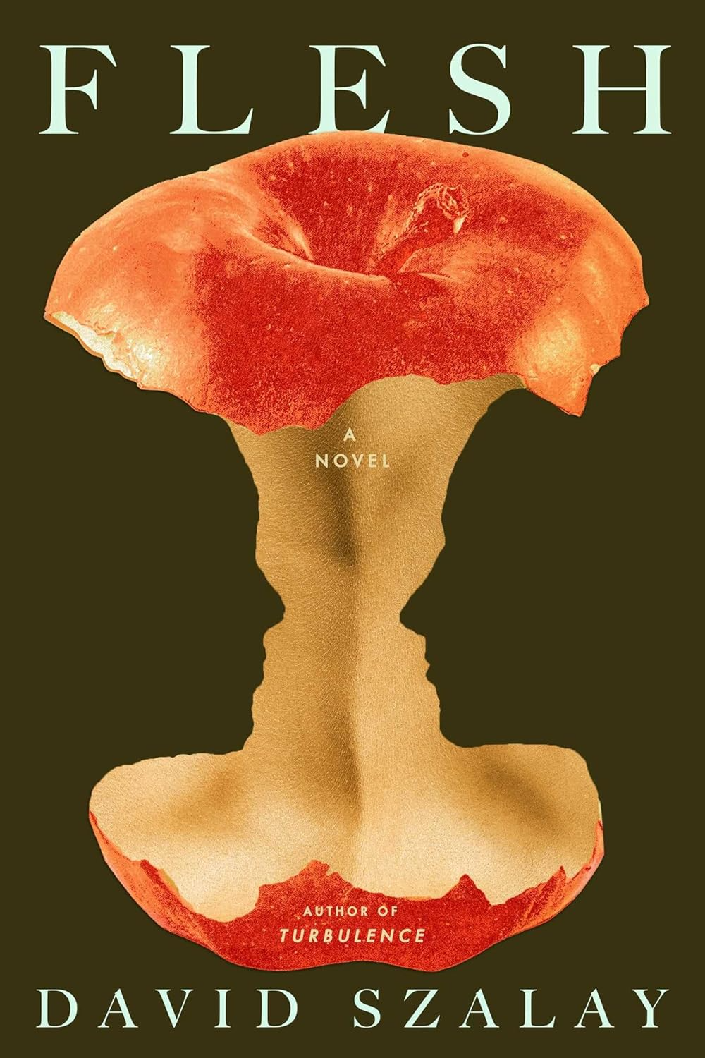 Novel cover image
