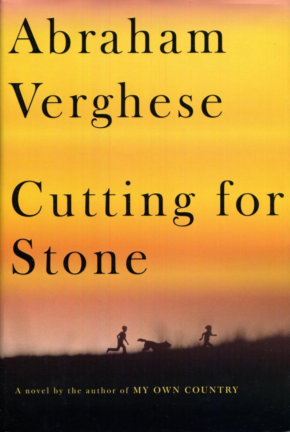 Novel cover image