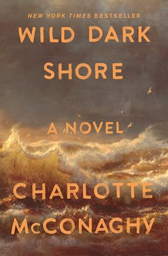 Novel cover image