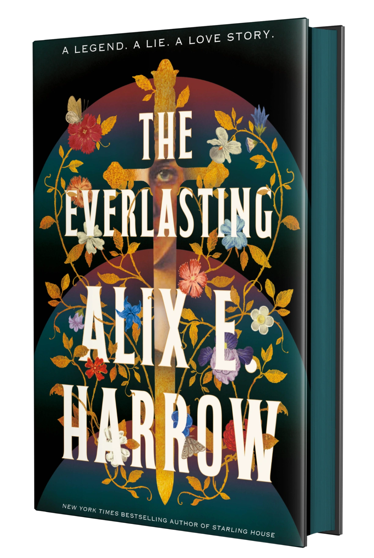 Novel cover image