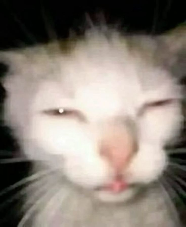 Siduscat