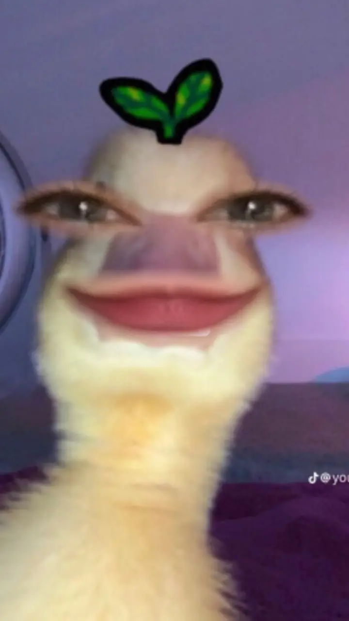 profile pic