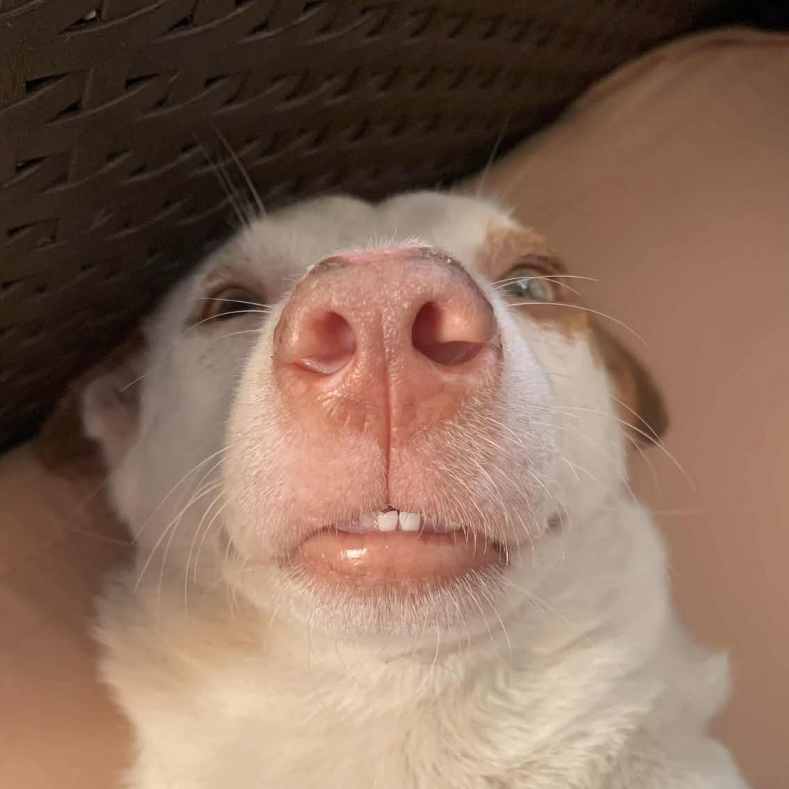 profile pic