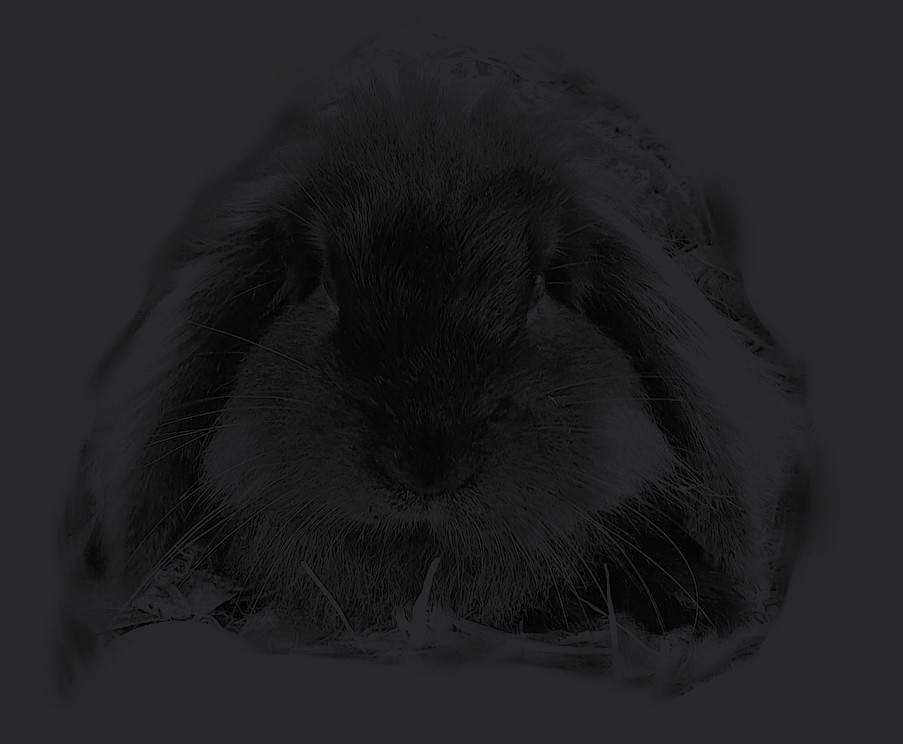 profile pic