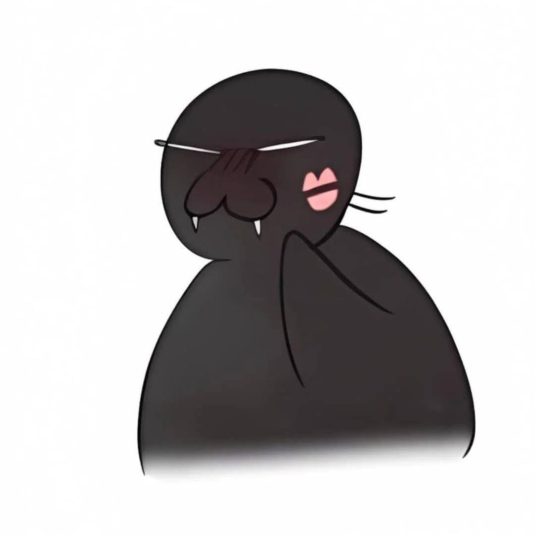 profile pic