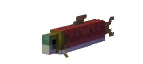 rjjjt