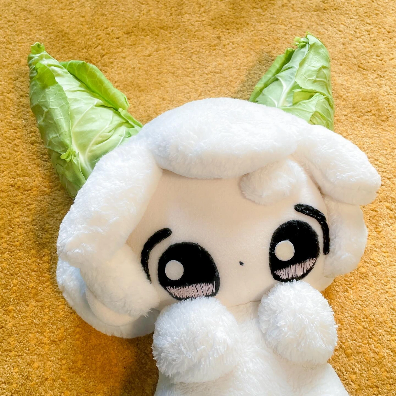 miimuutan